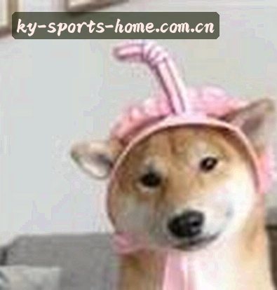 王强